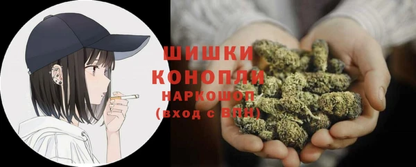 ПСИЛОЦИБИНОВЫЕ ГРИБЫ Тутаев