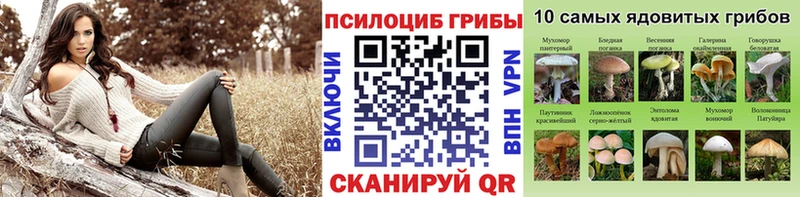 Псилоцибиновые грибы ЛСД  Хабаровск 